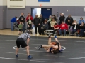 watertown_sr.dog4